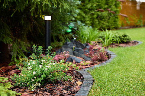 A garden with green grass and a closeup of a rounded border with a tiny plant inside and bushes around it.