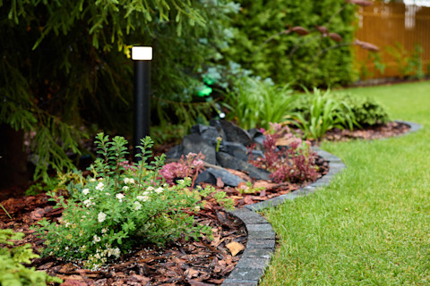 A garden with green grass and a closeup of a rounded border with a tiny plant inside and bushes around it.